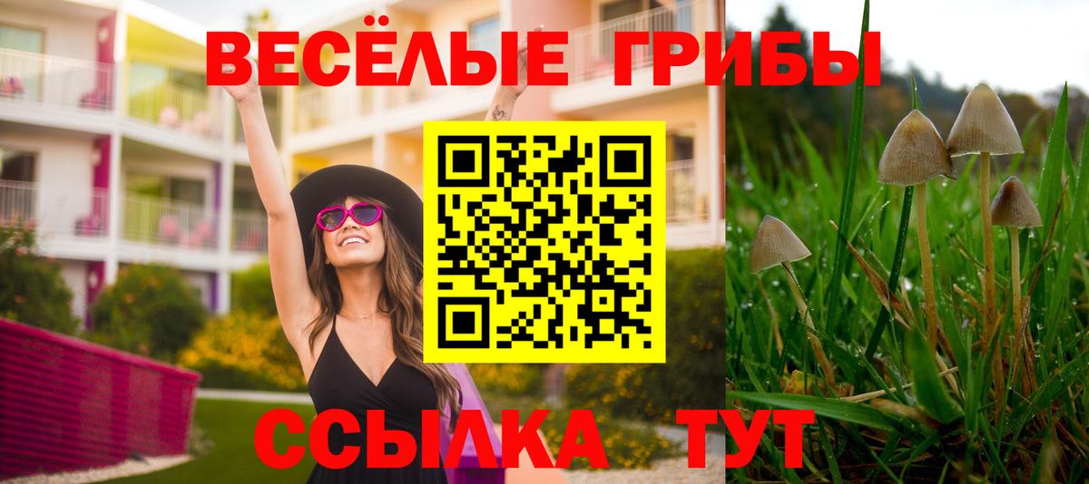 Галлюциногенные грибы Magic Shrooms Люберцы